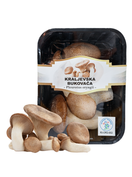 KRALJEVSKA BUKOVAČA